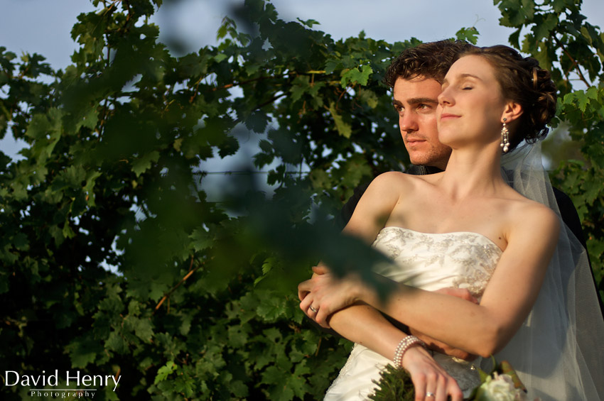 in the hunter valley vineyards for wedding photos