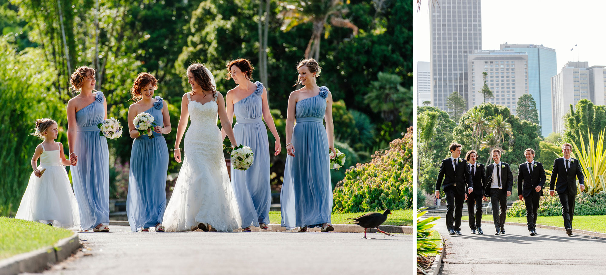 Wedding party in Sydney Botanic Gardens