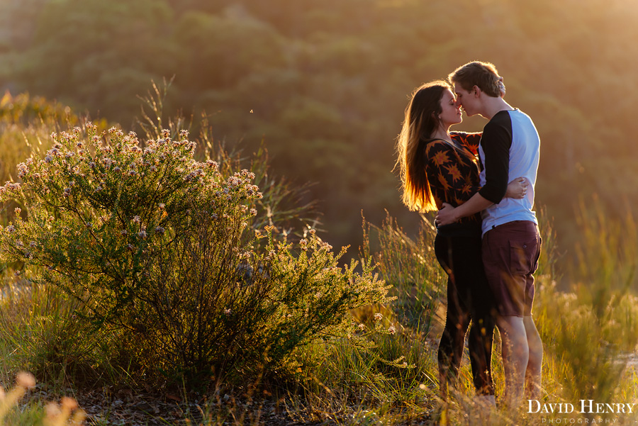 Engagement photos with Chris and Jess in the Ku-ring-gai-Chase National Park