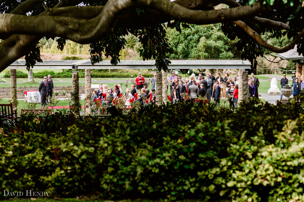 Wedding in Rose Garden of Sydney Botanic Garden