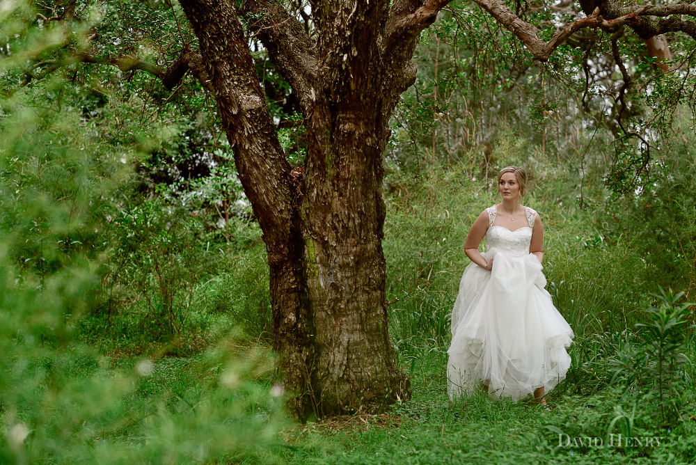 Beautiful bride in bush