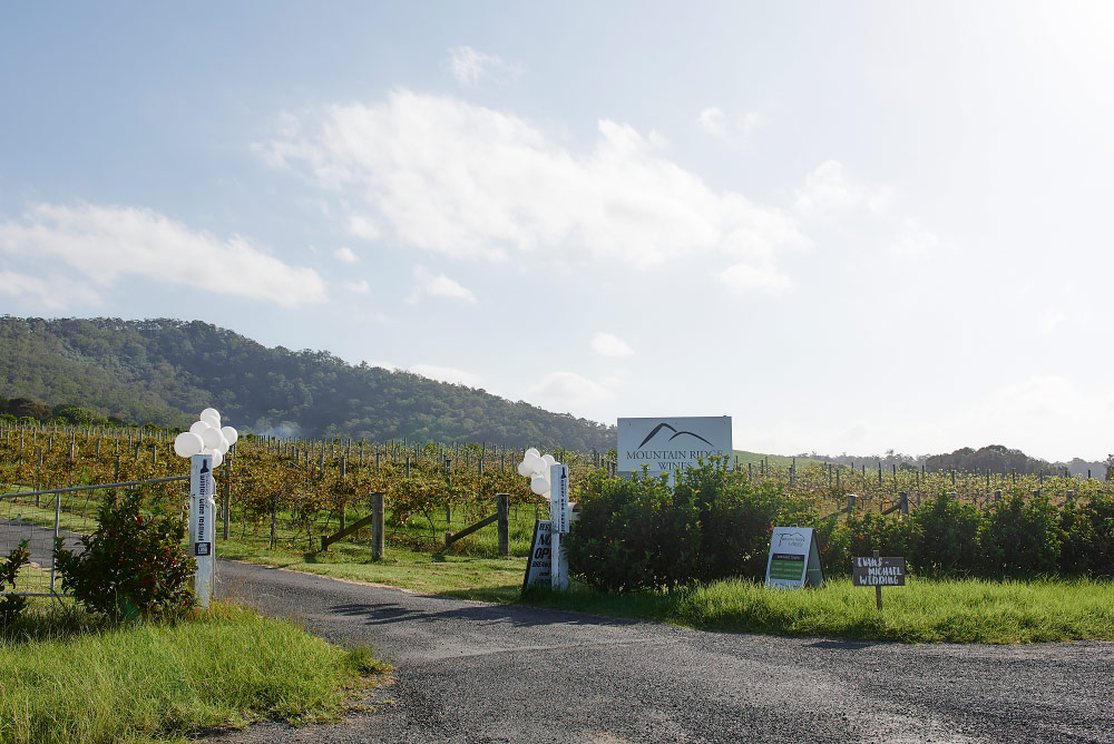entrance to mountain ridge wines