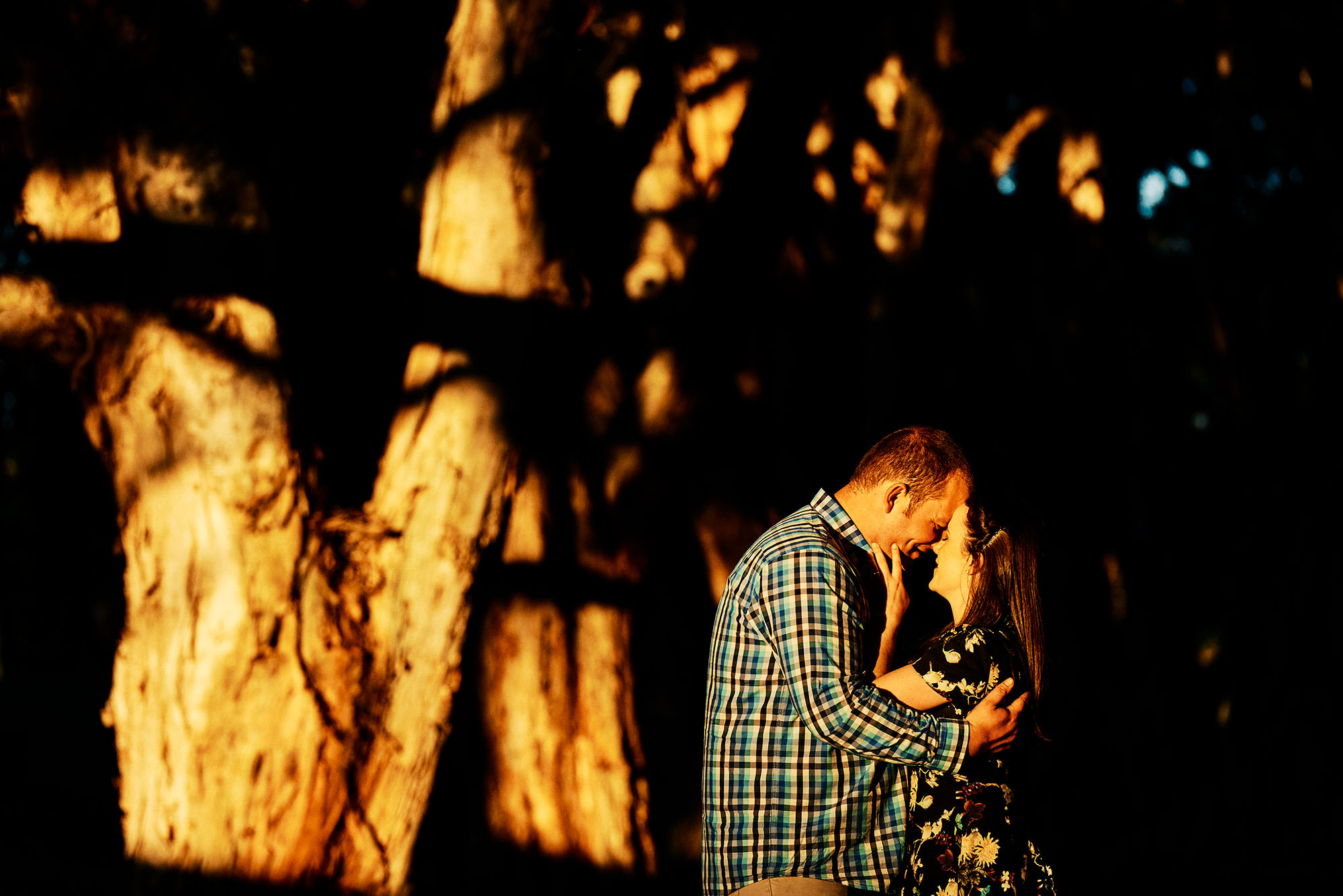 Engagement kiss in Centennial Park