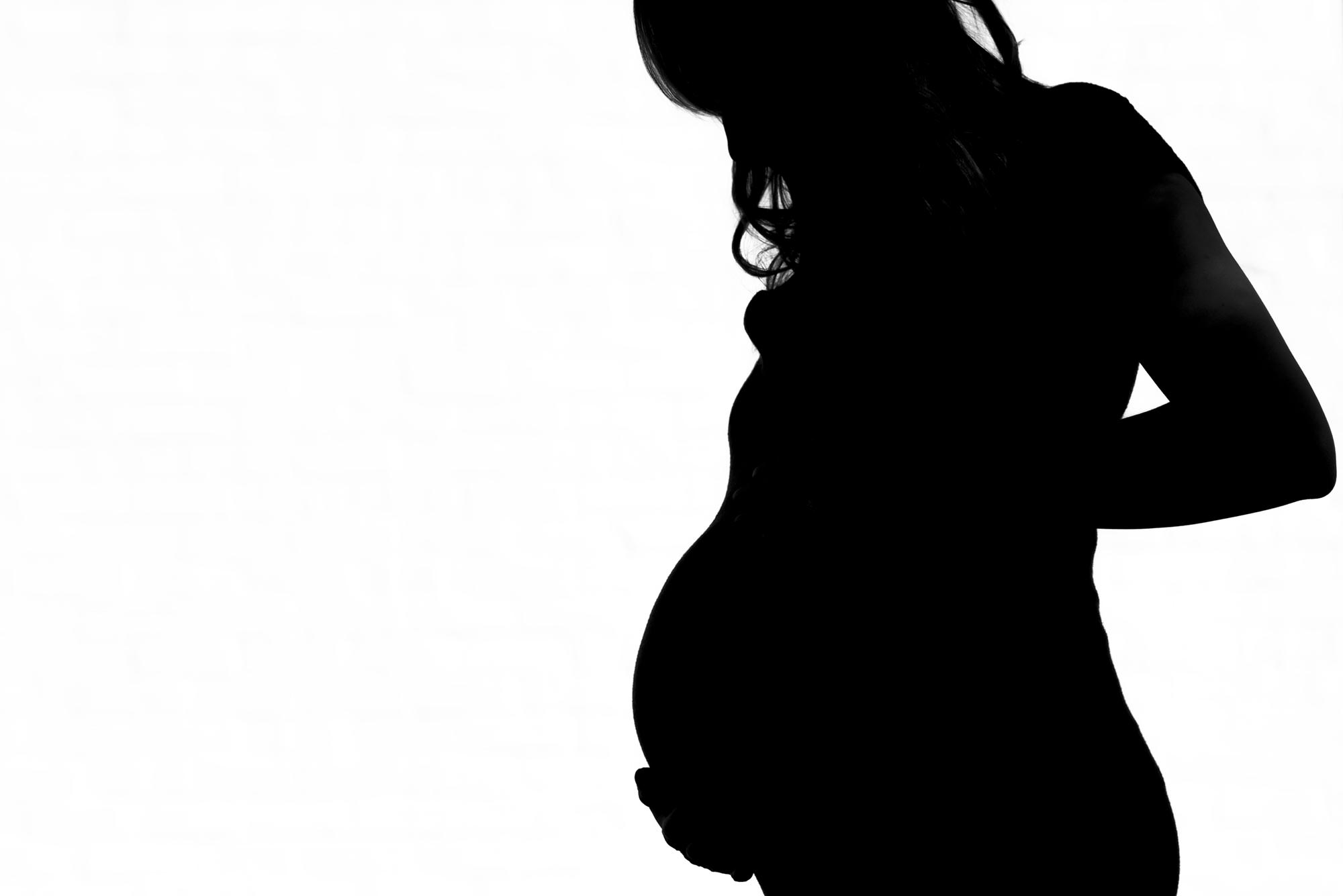 Lauren's pregnancy silhouette