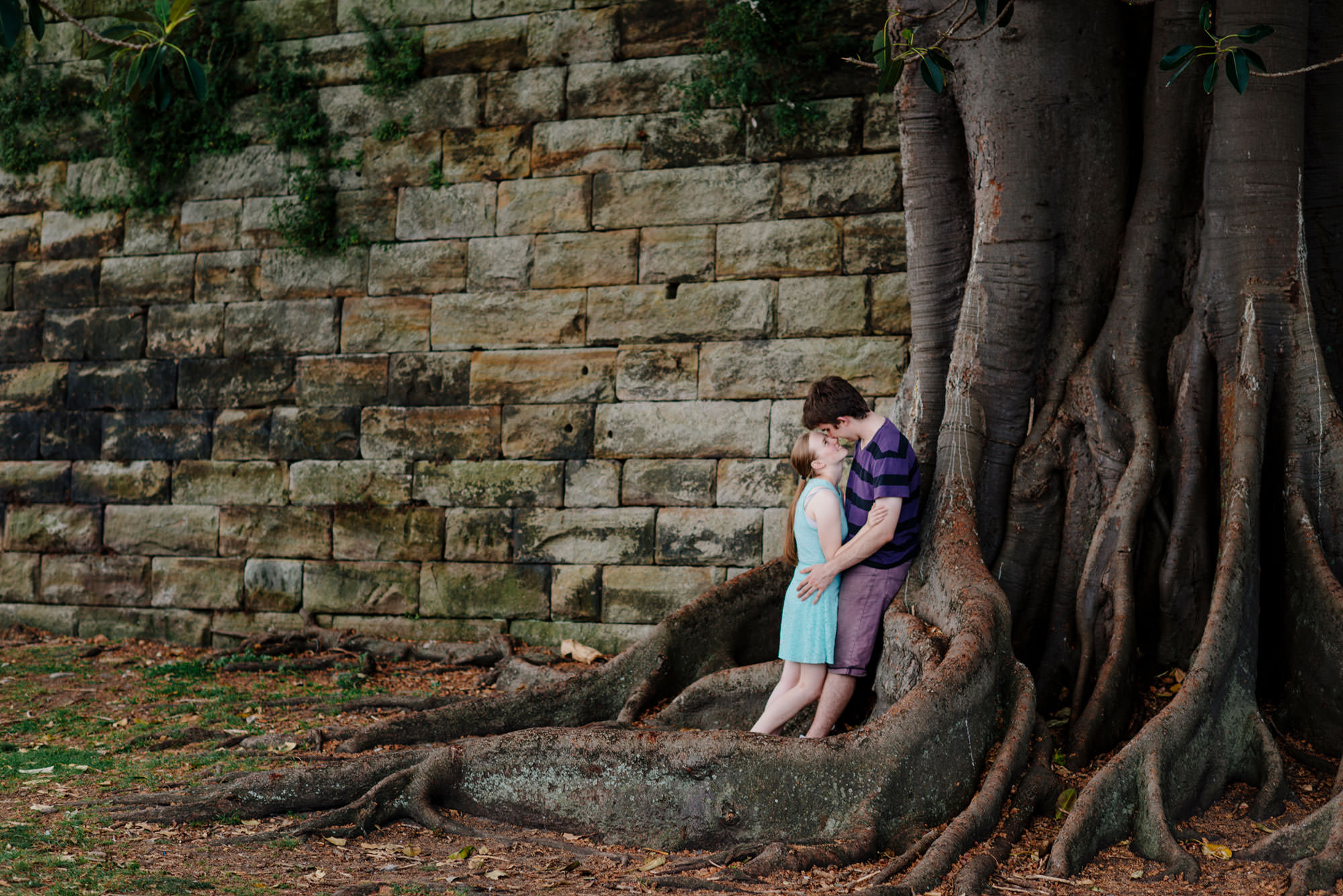 Peter and Jodie under the Morten Bay Fig