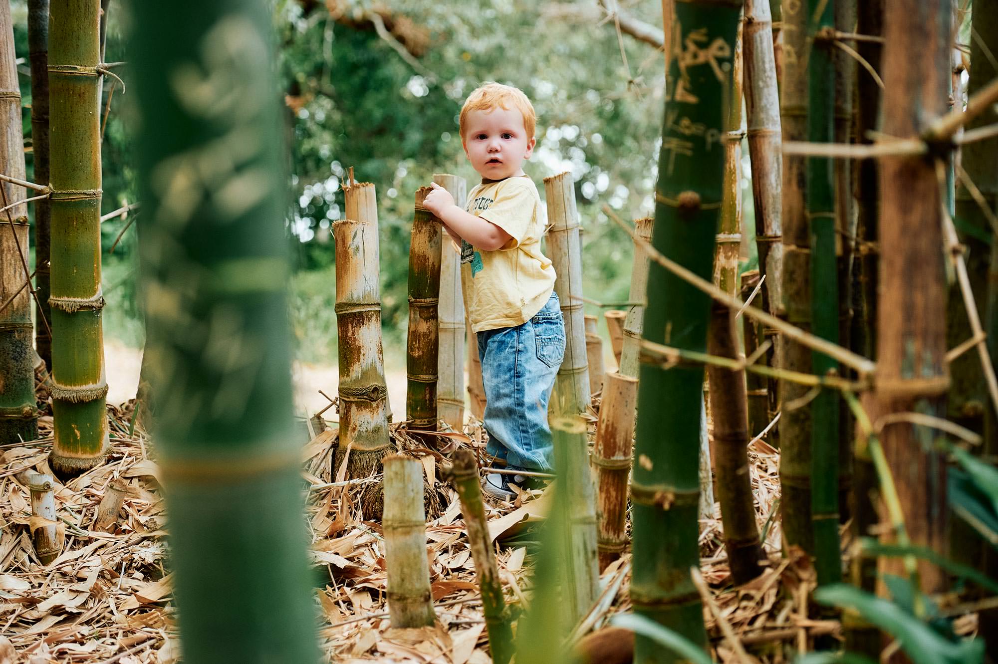 Nathan amongst the bamboo